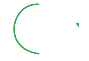 Datastride Logo